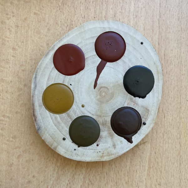 TAŞ PİGMENTLER AĞAÇ DİLİMİ SULUBOYA SETİ