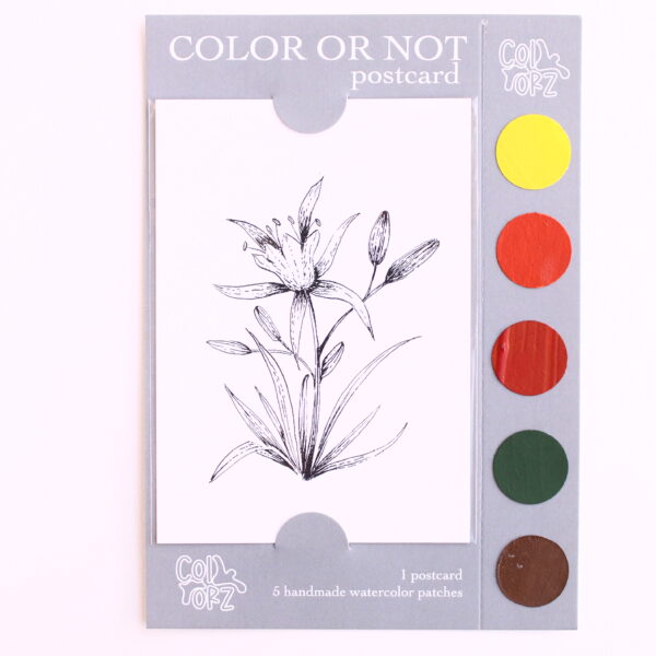 COLOR OR NOT KARTPOSTAL - Nergis