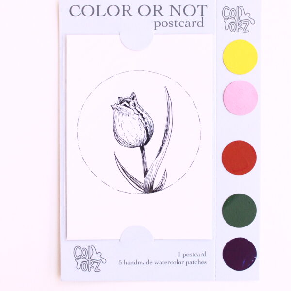 COLOR OR NOT KARTPOSTAL - Lale