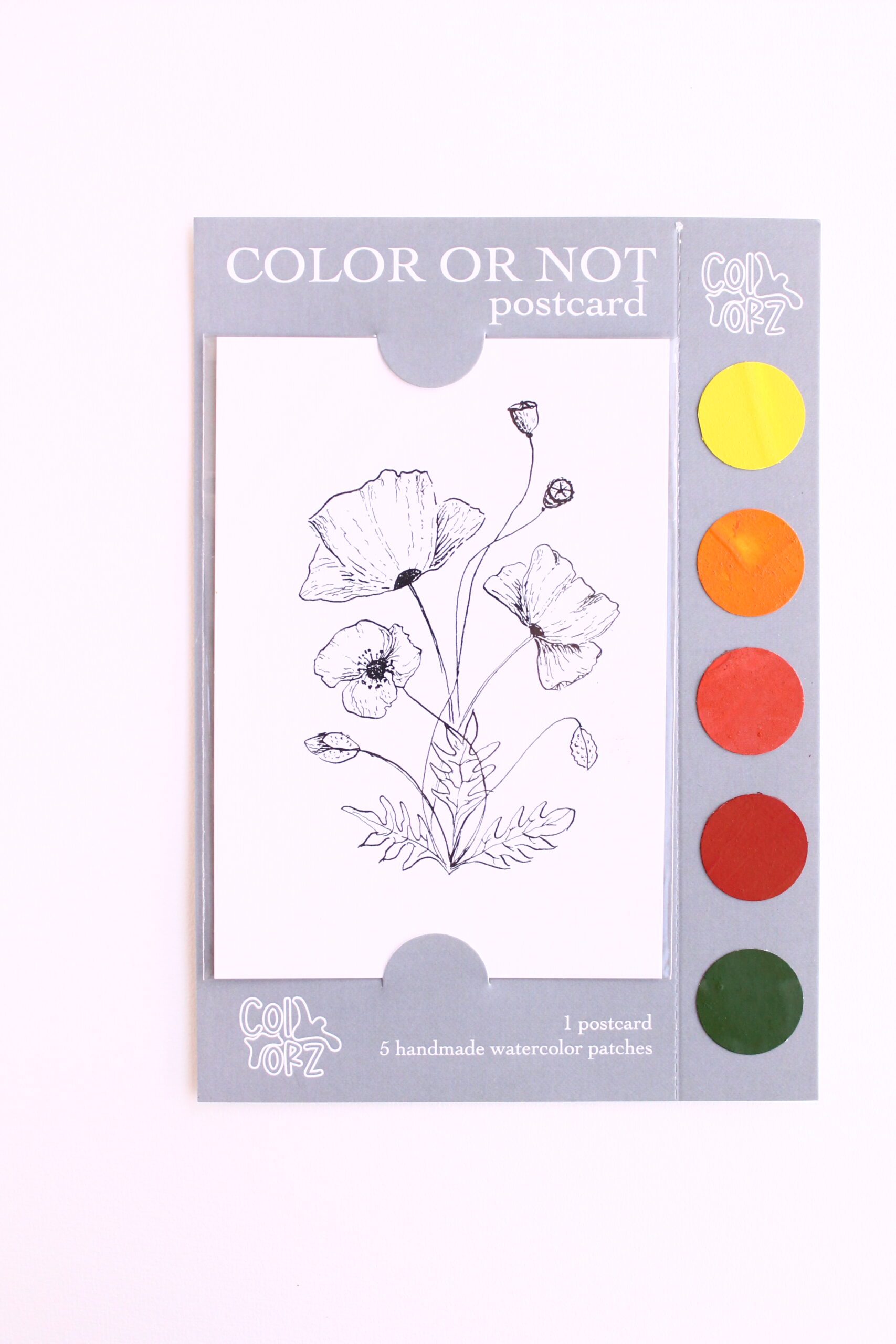 COLOR OR NOT KARTPOSTAL -Gelincik