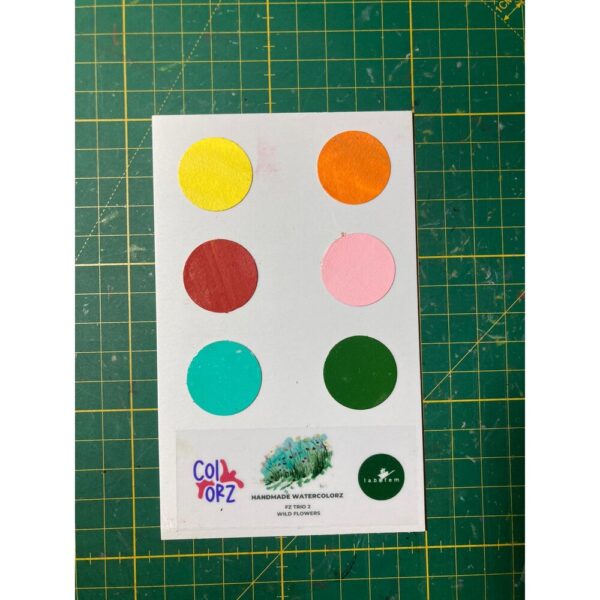 FZ TRIO 2 WILD FLOWERS SULUBOYA DENEME SETİ