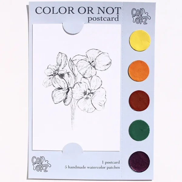 COLOR OR NOT KARTPOSTAL - Menekşe (Çiçek Serisi)