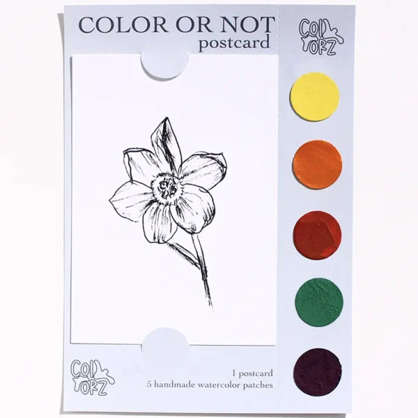 COLOR OR NOT KARTPOSTAL - Papatya (Çiçek Serisi)