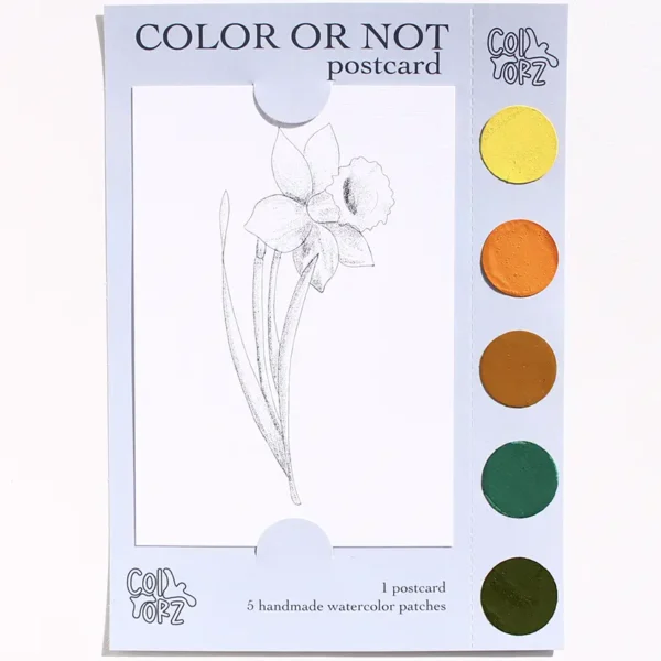 COLOR OR NOT KARTPOSTAL - Nergis (Çiçek Serisi)